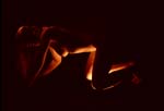 Licht&Schatten601
