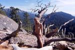 NaturSequiouaUSA449