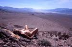 NaturDeathValleyUSA349A