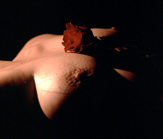 Torso168