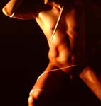 Torso156
