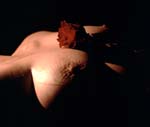 Torso168