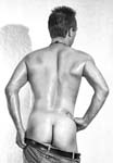 Torso659